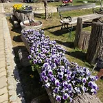 Uriges Mit Blick Auf Appartement *