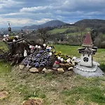 Uriges Mit Blick Auf *