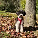 Uriges Mit Blick Auf