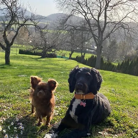 Uriges Mit Blick Auf Apartman