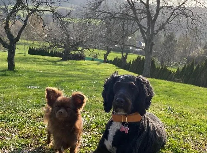 Uriges Mit Blick Auf Apartamento